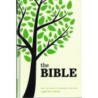 NRSV The Bible Anglicized edition